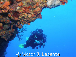 mr. luis colondre having fun in mermaid point dive site a... by Victor J. Lasanta 